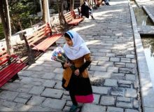 چهره بوستان دانشجو تغییر می‌کند!