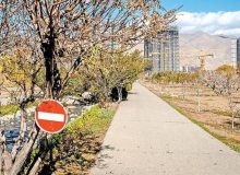 باغ گیاه شناسی در حال نابودی است؟