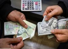برای ارز از واژه حباب استفاده نشود؛ دلار کالای سرمایه ای مردم شده است
