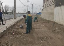 کاشت نهال در خیابان شهید باهنر و کوچه‌های یاس هشتم و نهم
