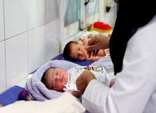 سقوط آزاد نرخ باروری متوقف شد!