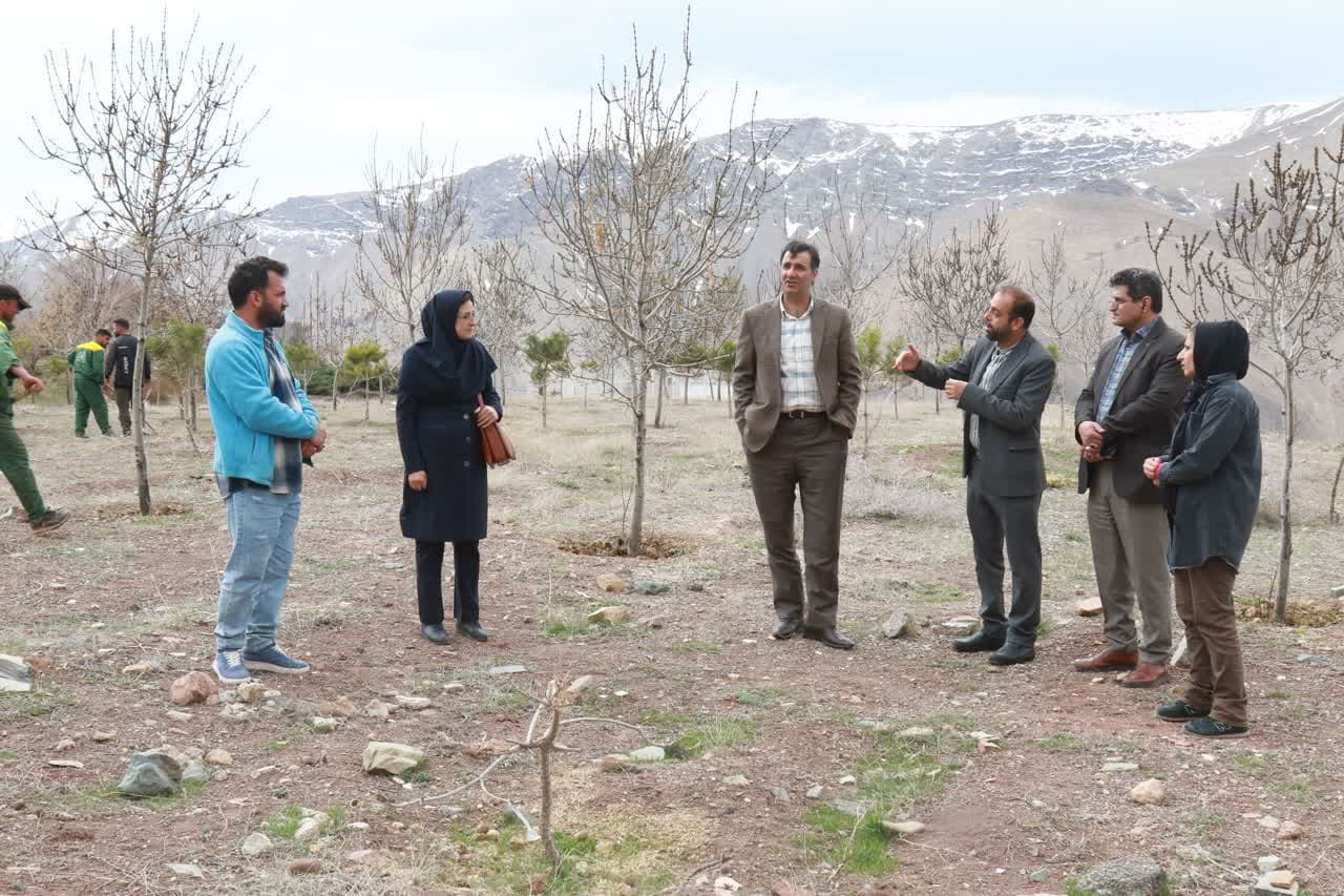 کشت گیاهان دارویی در سپیدکمرچال میگون