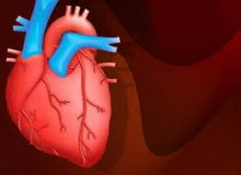 چگونه قلب سالم داشته باشیم؟