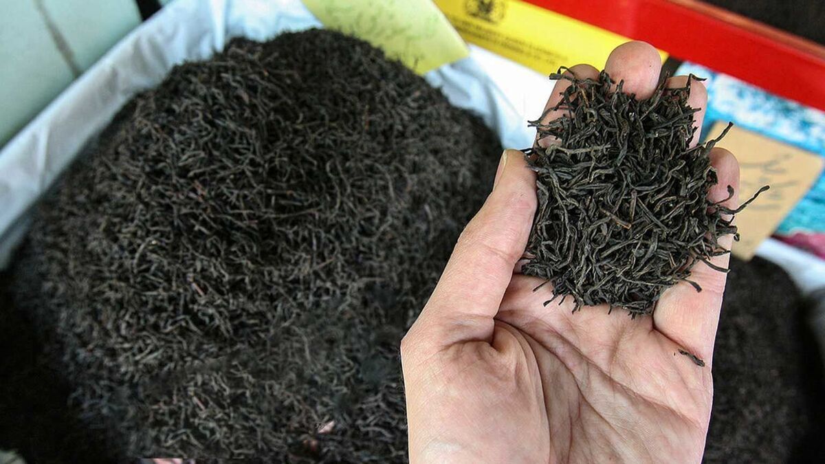 کارنامه تولید و واردات چای در سال های اخیر