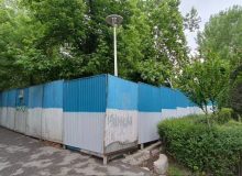 باب درخت‌کُشی باز خواهد شد!