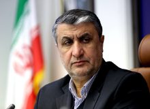 واحدهای دوم و سوم نیروگاه بوشهر در پنج و هفت سال آینده تکمیل می‌شوند