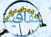 ۶۰ درصد بودجه دولت صرف شرکت‌های زیان‌ده می‌شود!