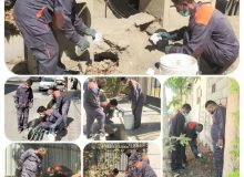 اقدامات شهرداری باغستان در مبارزه با حیوانات و حشرات موذی با استفاده از روش های نوین حفاظت های زیست محیطی