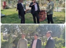 بازدید شهردار صالحیه از زمین پینت بال شهید محسن حججی/ این زمین بزودی آماده استفاده علاقه مندان به ورزش مهیج پینت بال خواهد شد