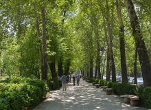 درختان پارک‌های جنگلی تهران پیر شده‌اند!