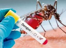 تب دنگی را نباید با کرونا مقایسه کرد!
