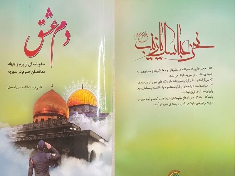 مزدی که مدافعان حرم میگیرند خیلی زیادتر از تصور ماست