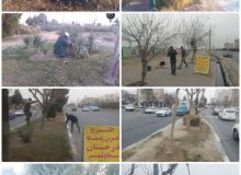 تلاش شهرداری رباط کریم برای حفظ فضای سبز شهری/ طرح هرس زمستانه درختان سطح شهر با جدیت ادامه دارد