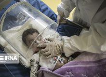 جولان قاتلان معلق