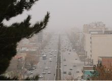 کدام بحران قربانی بیشتر می گیرد ؟