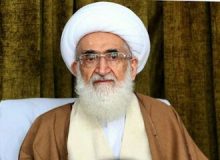 توقع دنیا از حوزه و روحانیت از نگاه آیت الله نوری همدانی/ باید کاری کنیم کسی دور از سند و بدون مدرک منبر نرود