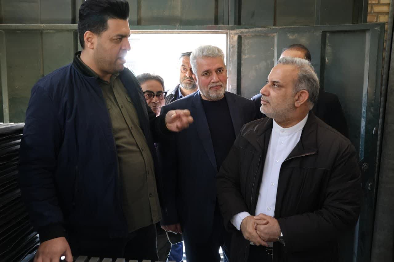 بازدید و بررسی مشکلات تولیدکنندگان توسط سرپرست فرمانداری بهارستان