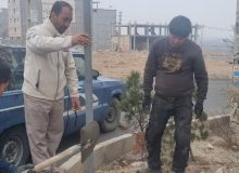 اصلاح اسامی معابر و بلوارهای اصلی شهرک امید انجام شد