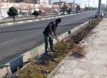آغاز واكاری درختان سطح شهر اندیشه