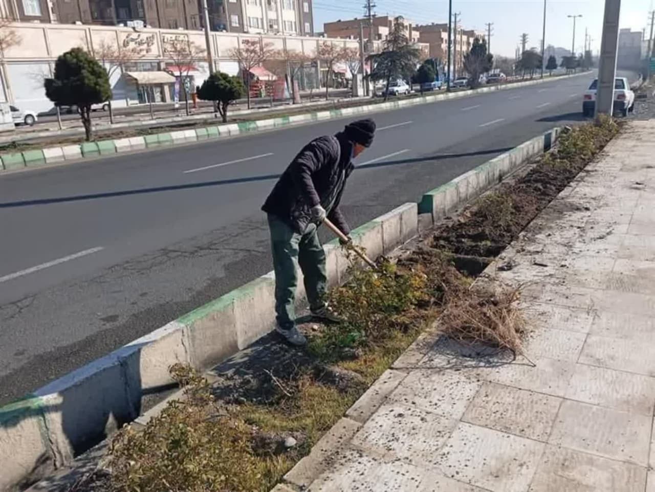 آغاز واكاری درختان سطح شهر اندیشه
