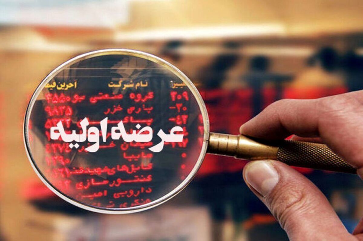 عرضه‌ های اولیه نباید به بازار سهام لطمه وارد کنند!
