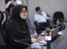 استفاده از ظرفیت بانوان در صنعت نفت نیازمند شبکه‌سازی است