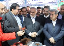 آئین افتتاح جشنواره عرضه محصولات مشاغل خانگی بانوان در بهارستان