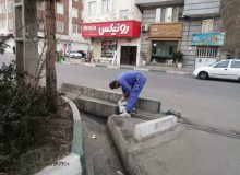 طعمه گذاری در مبادی تغذیه و تولید مثل جانوران موذی