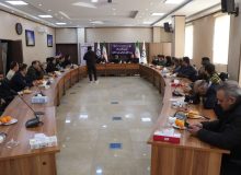 قشقاوی گفت؛ عملکرد مدیریت شهری صالحیه بیشترین بهره وری را نسبت به اکثر شهرهای کل کشور داشته است