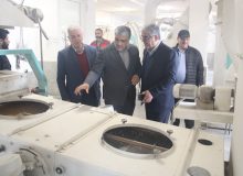 مازندران می تواند هاب غلات باشد
