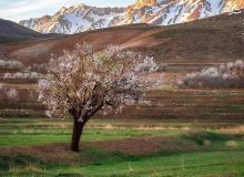 بهاری خشک و تابستانی خشک‌تر در انتظار ایران!