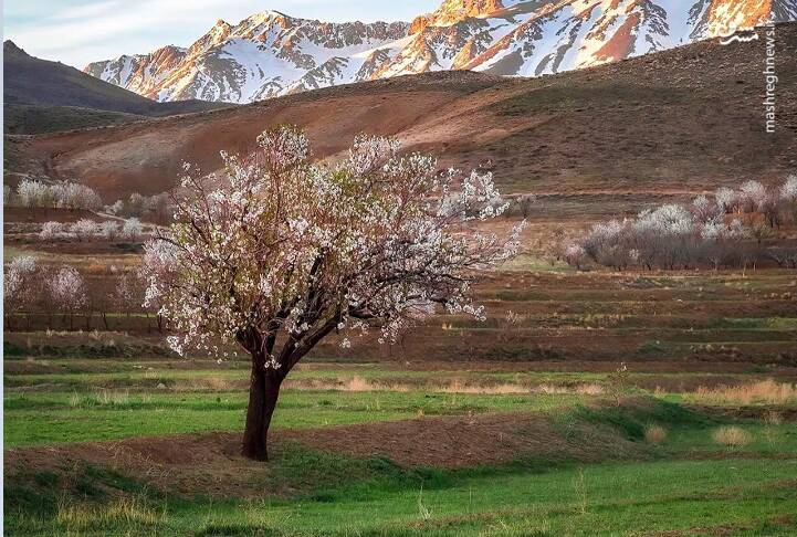 بهاری خشک و تابستانی خشکتر در انتظار ایران!