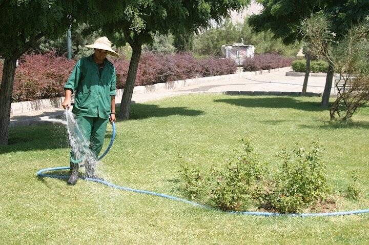 هدررفت گسترده آب در فضای سبز پایتخت!