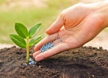 از آزمایشگاه تا مزرعه؛ وقتی بذرهای اصلاح‌شده بهره‌وری را چند برابر می‌کند
