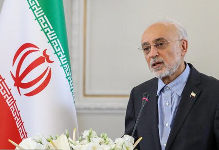 صالحی: هر گونه چشم طمع به آب و خاک ایران، محکوم به شکست است