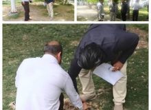 انشعابات غیر مجاز ۱۰قطعه پارک و فضای سبز در شهر ورامین قطع گردید