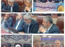 تشریح اقدامات و برنامه‌های شرکت آبفای جنوب‌غربی استان تهران در این شهرستان