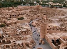 ترفند سودجویان علیه باغ‌شهر جهانی بم/ ۶۰۰ هکتار از نخلستان‌ها چطور خشک شدند؟