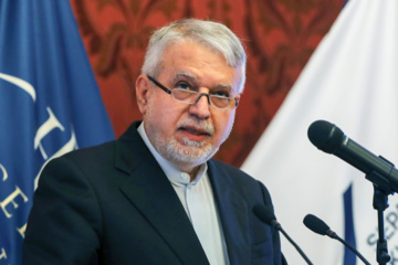 صالحی امیری: صنایع دستی باید به جریان زندگی برگردد