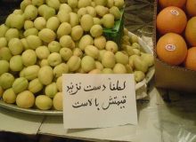 چرا میوه گران به دست مردم می رسد ؟