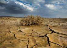 یزد در آستانه بحران زیستی و اقتصادی به‌دلیل کمبود آب