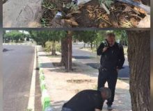 در محدوده آبفای جنوب شرقی استان تهران انشعاب فضای سبز شهرداری جوادآباد قطع گردید