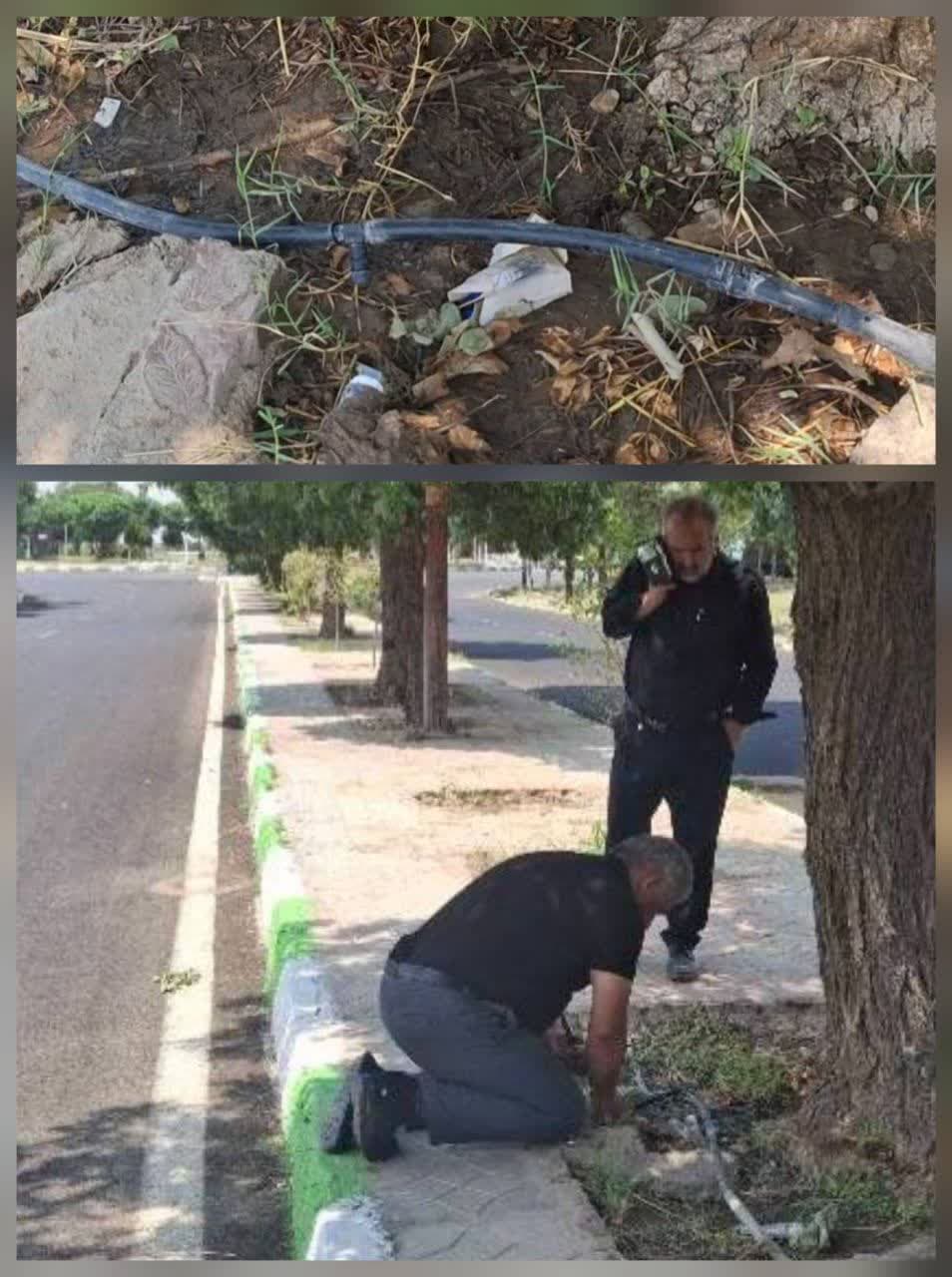 در محدوده آبفای جنوب شرقی استان تهران انشعاب فضای سبز شهرداری جوادآباد قطع گردید