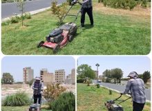 بازپیرایی و چمنزنی فضاهای سبز شهر؛ ارتقاء زیبایی و کیفیت فضای سبز
