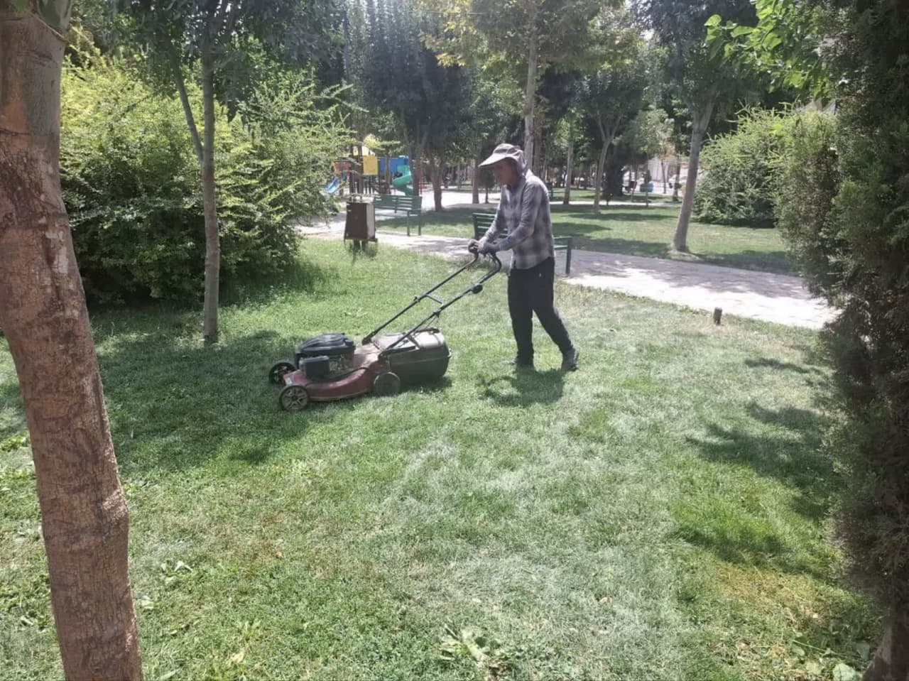 ♨️عملیات بازپیرایی چمن بوستان لاله صالحیه انجام شد