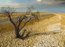 پاییز بی‌باران در راه است/ هشدار درباره تشنگی ایران