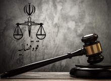 عفو معیاری چیست؟