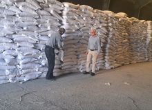 نمونه‌برداری از ۲۰۰ تن کلرور پتاسیم گرانوله پتاس خور و بیابانک در اصفهان