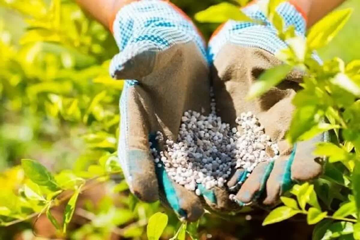 توزیع ۱۷ هزار و ۲۰۰ کیلوگرم کود یارانه‌ای در اصفهان