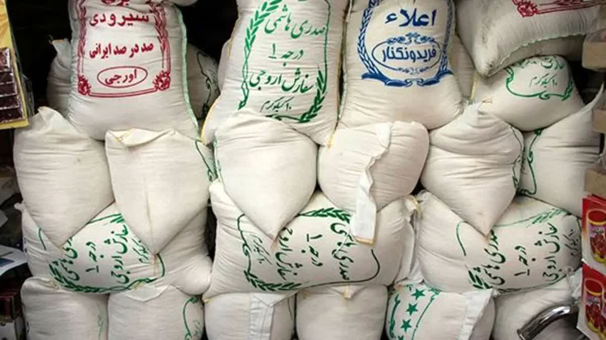 چرا برنج ایرانی گران شد؟